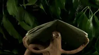 DEEPER MEANING by Sean Tierney (animated poetry)