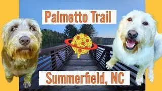Palmetto Trail in Summerfield, North Carolina