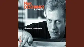 Valse &agrave; 3 temps (feat. Pierre Guillemant, Vincent Cordelette)