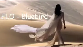 ELO - Bluebird (mix 2025)