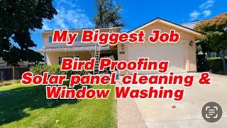 My Biggest Job Yet! $1500 Bird Proofing Solar Panel & Window Cleaning!