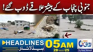 Flood In South Punjab l 5am News Headlines l 28 Aug 2025 l Rohi