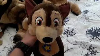 ❤My German Shepherd Plush Collection 2019❤