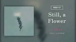 Still, a Flower - CNBLUE // cover español (V5)