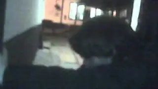 Paul in the gutter