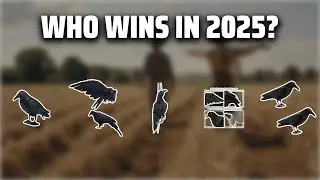 The Top 5 Best Fake Crows in 2025 - Must Watch Before Buying!