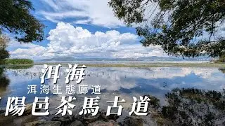 #洱海 #鳳陽邑茶馬古道  #去有風的地方  拍攝地  #20250922