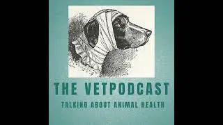 Episode 68: GiRLS Talk. The Golden Retriever Lifetime Study