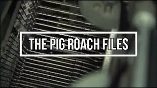 File 021: Email trolling, More begging, and The Retrospective Dumpster Fire.