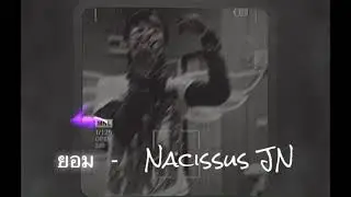 ยอม - Nacissus JN 