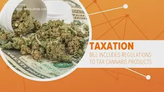 Senate Democrats file bill to legalize marijuana on the federal level
