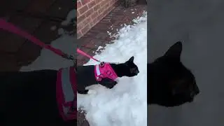 This could have ended badly&hellip;