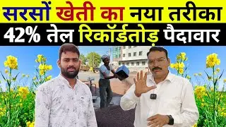 सरसों बुवाई में डाले सबसे बेस्ट खाद । बुवाई का सही समय । बुवाई का नया तरीका । Mustard farming