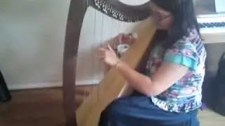 Triplett Harps Sierra 30 NEW from The Little Welsh Shop