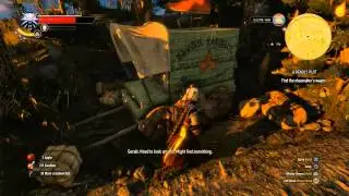 The Witcher 3: A Deadly Plot - Quest Walkthrough