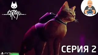 Stray. Прохождение 2. [PS5]