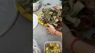Making compost from kitchen & garden waste