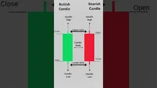 Bullish and Bearish Candle #shorts #youtubeshorts #trading #stockmarketchart