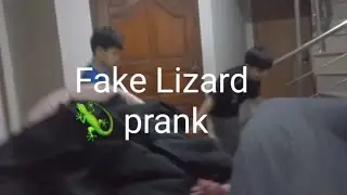 Fake Lizard 🦎 prank on arham and it went wrong #prank#lizard#fakelizard#fakelizardprank