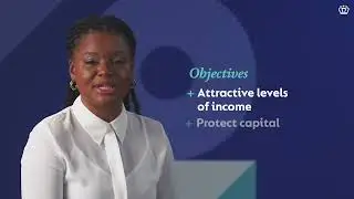 Global Strategic Income  overview