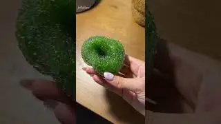 Matcha Green Stress Ball 🍵 Relaxing ASMR Squishy & Soothing