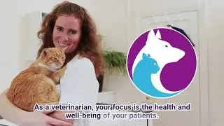 Holiday Vet Veterinary Recruitment Services