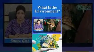 What Is Environment | XP Blue Zone TV #climateawareness