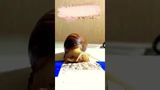 Snail doing asmr?? Wow! #tutipets