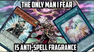 ENDYMION VS ALL META DECKS (SPELLBOOK OF JUDGMENT)
