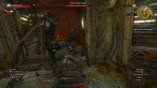 Grandmaster Feline Gear Side Quest Blood And Wine DLC Witcher 3 Wild Hunt #277