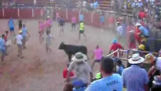 el robledo los toros7