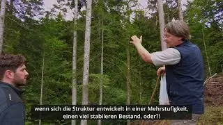 Folge 17 Der Waldrand - Freipflegen der &Uuml;bergangsbereiche