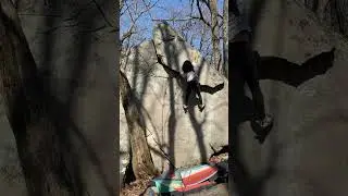 Earl the Squirrel V7 (flash)