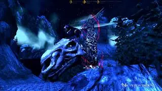 Vellosk, Run for the wolfs head -Neverwinter Parkour