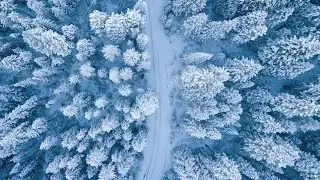 Relax music for everyone: Chinese Nature Music Winter