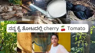 ಅಡಿಕೆ ಕೊಯ್ಲಿಗೆ ಧೋಟಿಯ ಬೋನಿ ಪಾಟ್ ಅನ್ನು ಹೇಗೆ ತಯಾರಿಸಿದ್ದೇವೆ ನೋಡಿ