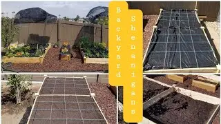 288 | Backyard Shenanigans: How I Built My Spring Garden (SoCal, Zone 10) | May 2022