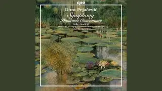 Symphony in F-Sharp Minor, Op. 41: IV. Allegro appassionato