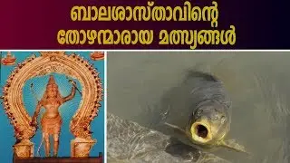 ത്വക്ക് രോഗം മാറ്റുന്ന കുളത്തുപ്പുഴ ശാസ്ത ക്ഷേത്രം | Kulathupuzha Sastha Temple
