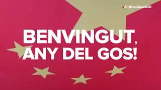 Benvingut any del gos