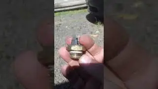 Vectra v&aacute;lvula e cebolao veja