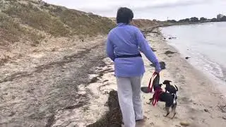 Man made, Fiesta Island