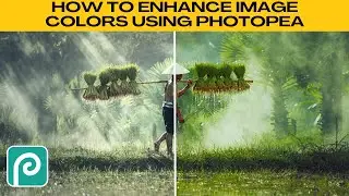 How to ENHANCE COLOR in Images Using Photopea (Increase Vibrance)