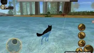 Ultimate wolf simulator gameplay