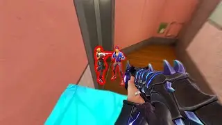 shotgun sage gameplay to chill/relax to
