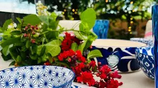 July Garden Tour | Backyard Garden Space