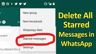 How to delete all starred messages in WhatsApp? (Android)
