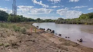 $8.6M bosque restoration project complete in the South Valley