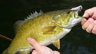 Top Water Smallmouth | Air Ivanhoe