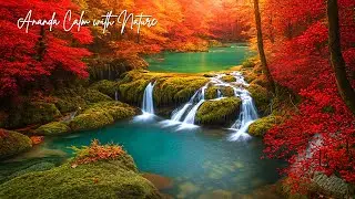 Classical Music for Sleeping That Melts Away Stress and Creates Deep Dream Nights
